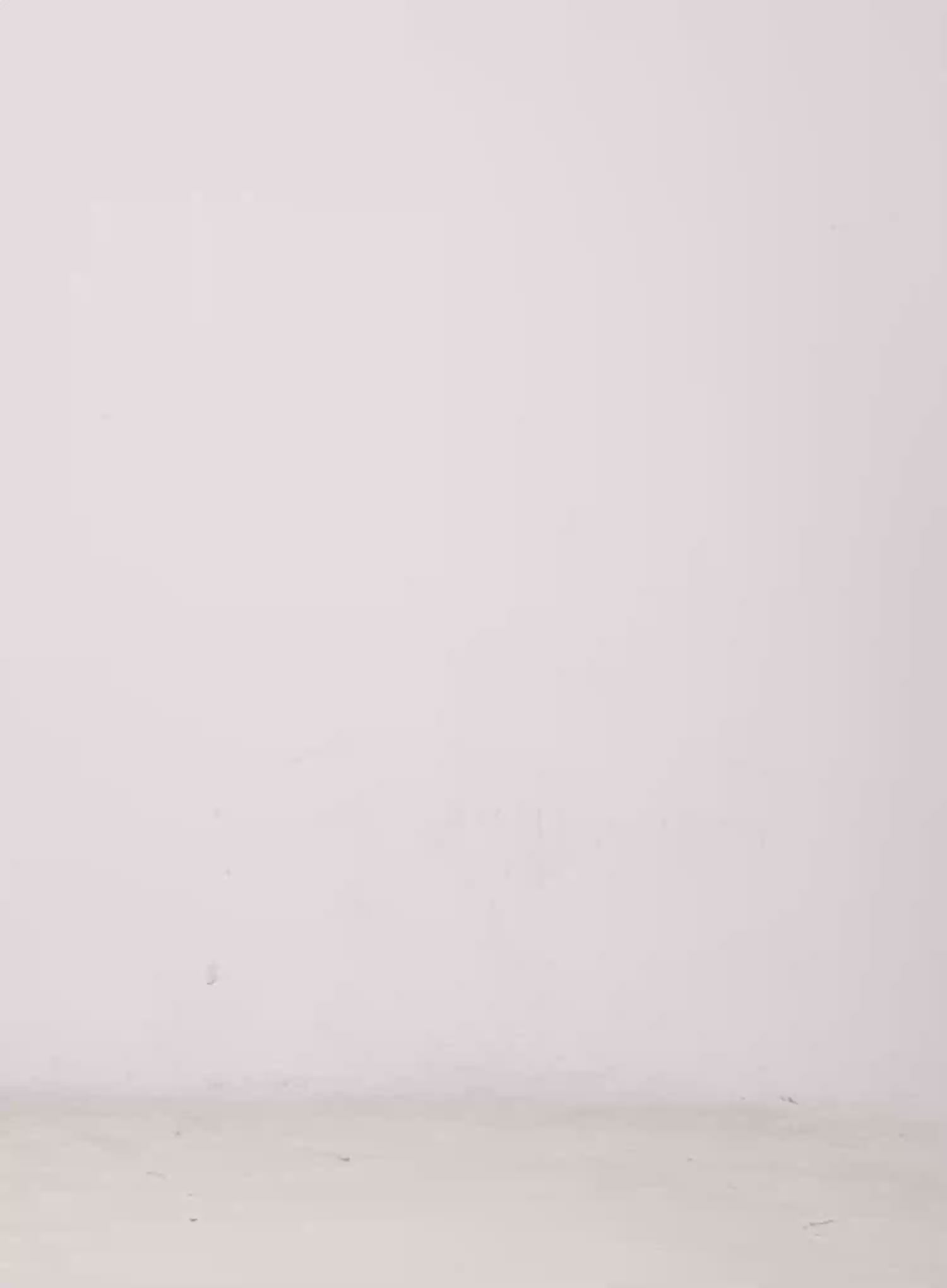 High-Waist Denim Mini Skirt CL525